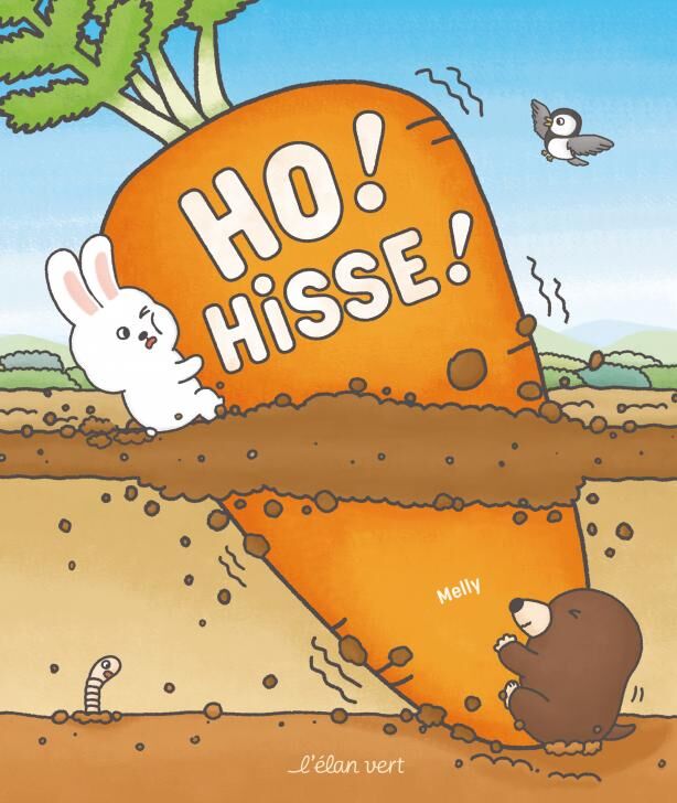 Image du produit